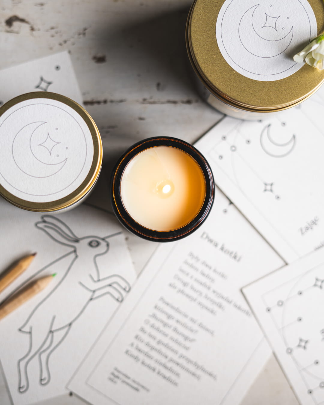 DDT-SKLEP-7.jpg